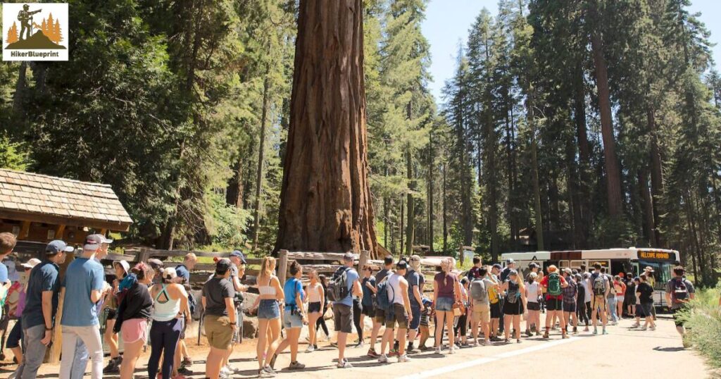 How to Avoid Crowd at Yosemite National Park 
