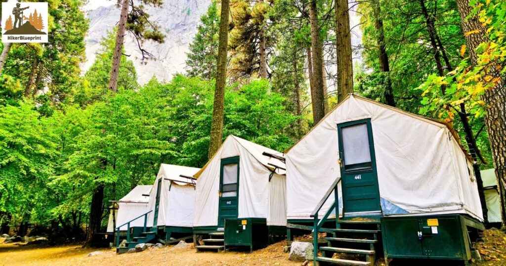 Plan Prior for Camping at Yosemite National Park 