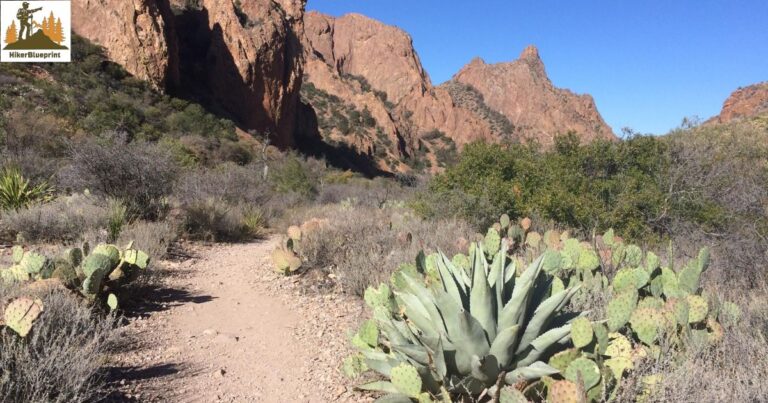 Window Trail in Big Bend National Park